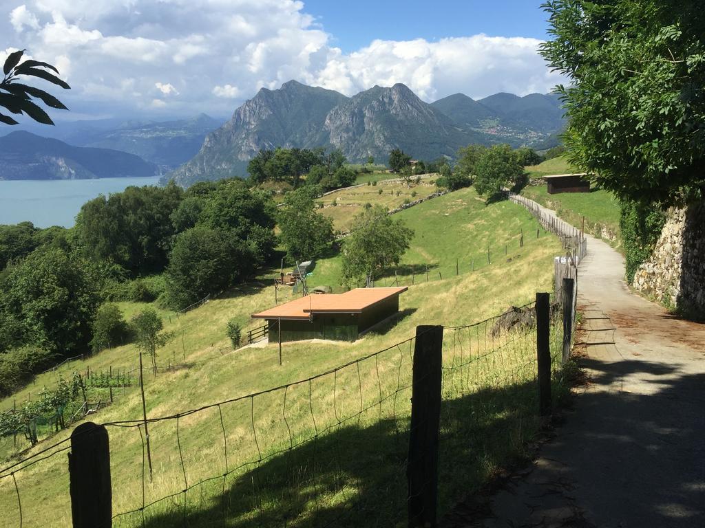 L'Isola Dei Sapori Lejlighed Monte Isola Eksteriør billede